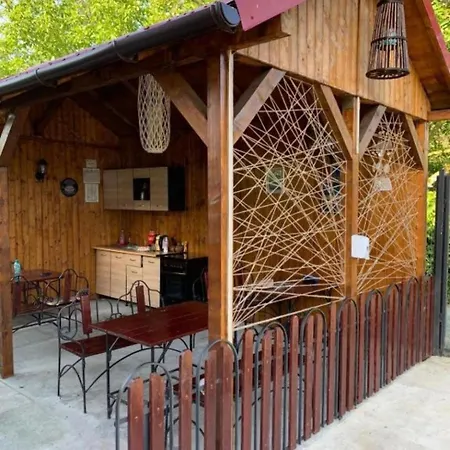 Casa Ari Pensionat Vama Veche