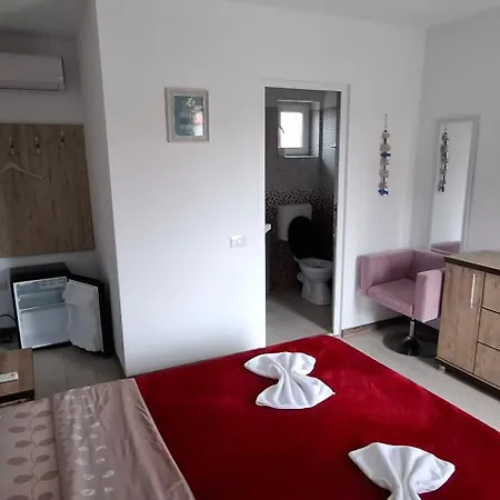 Casa Ari Pensionat