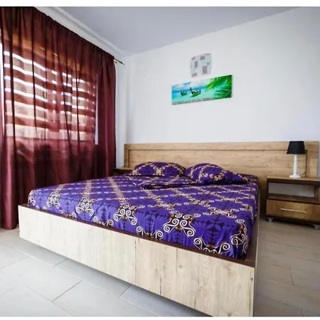 Casa Ari Vama Veche