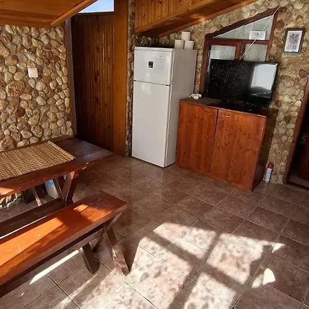 Pensionat Casa Ari 3*