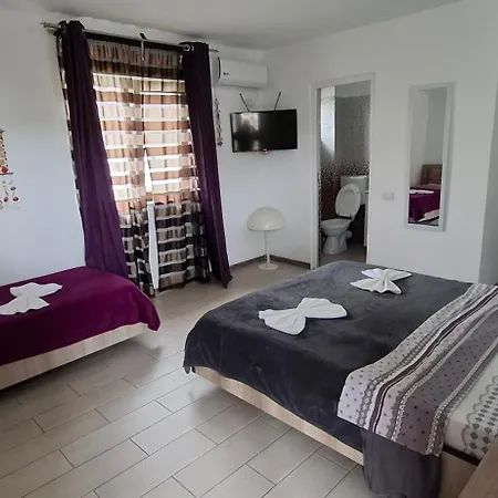 Pensión Casa Ari Vama Veche